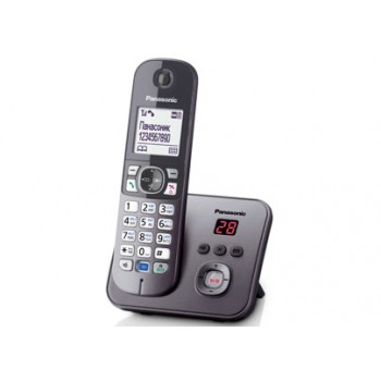 Радиотелефон Panasonic KX-TG6821RuM, серый металлик