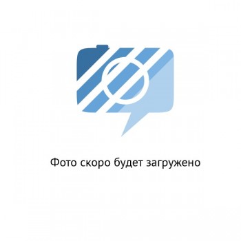 POLTYS-MUX2A-ASMRU Дополнительный год Сервисной поддержки продукта CTI MUX Стандартный выпуск (Русск
