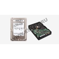 Жесткий диск Seagate 1000 Гб