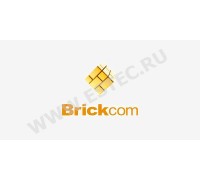 ПО ip видеокамер Brickom (протокол ONVIF) - Brickom USB ключ TRASSIR