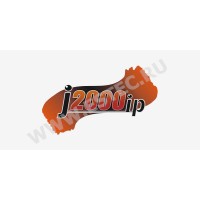 ПО для ip видеокамер J2000IP (протокол ONVIF) — J2000IP USB ключ TRASSIR